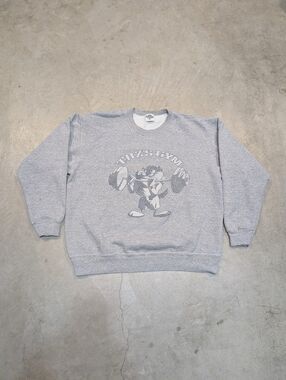 VTG 1991 ACME Grey Crewneck Sweatshirt Taz Gym Workout Mens L?